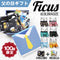 フィークス FICUS 父の日ギフトボックス メンズ ボクサーパンツ OUTLET SALE_F cts